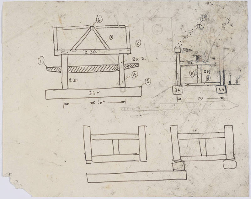 Preliminary Studies of Pioneer Family