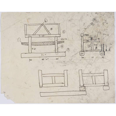 Preliminary Studies of Pioneer Family