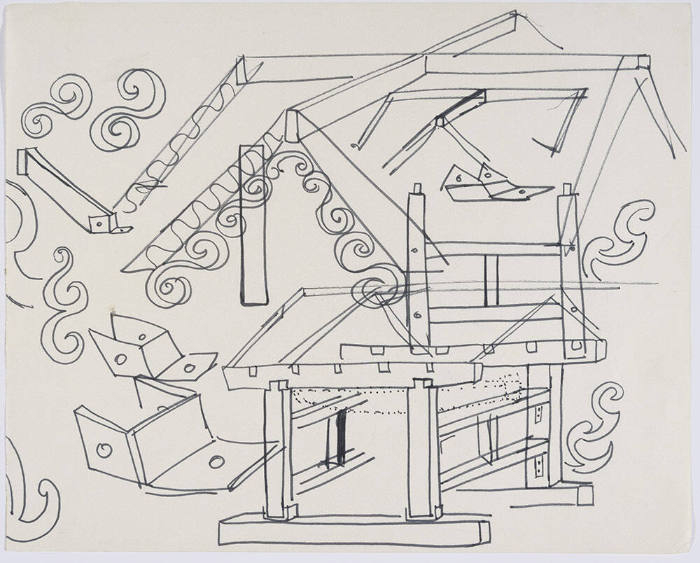 Preliminary Studies of Pioneer Family