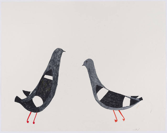 Untitled (Sea Pigeons)