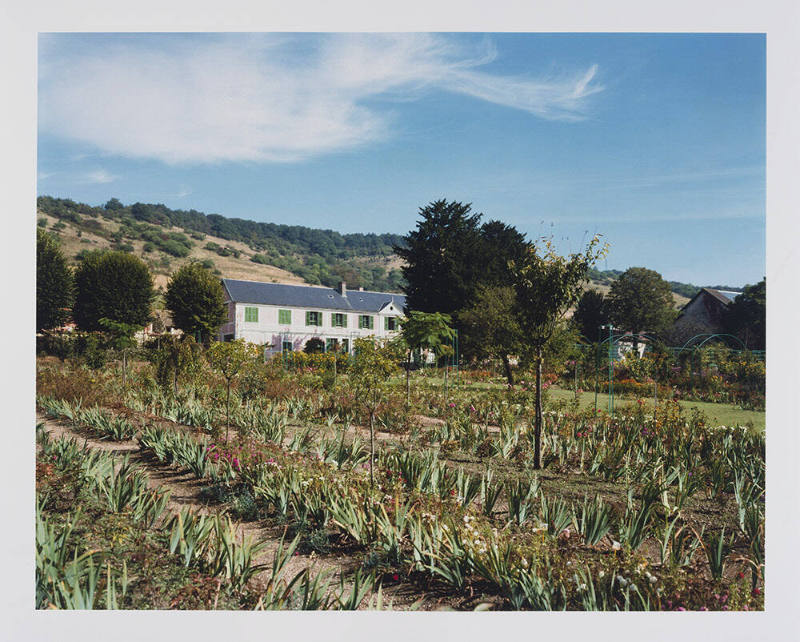 Giverny 4, Field of Irises