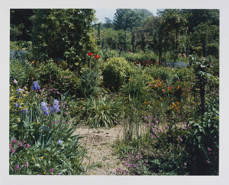 Giverny 8, Irises by the Path