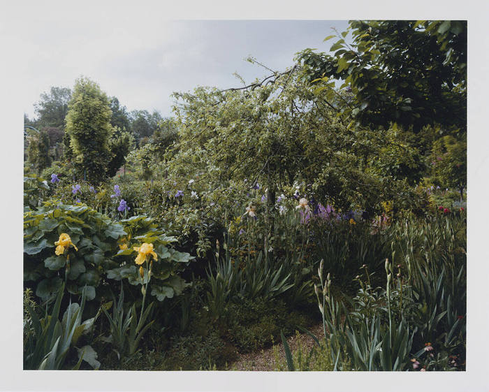 Giverny 13, Garden View