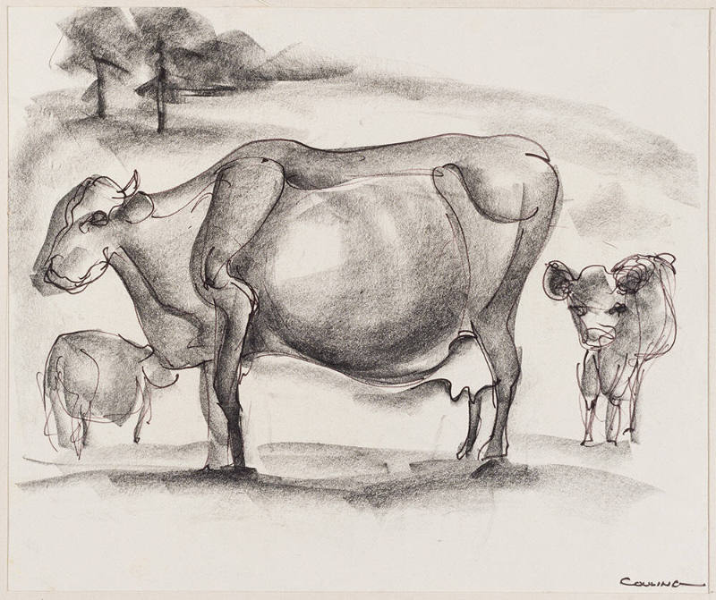 Untitled (Cows: one standing, two down), 1956