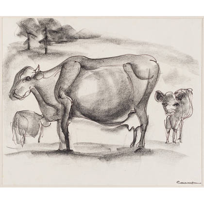 Untitled (Cows: one standing, two down), 1956