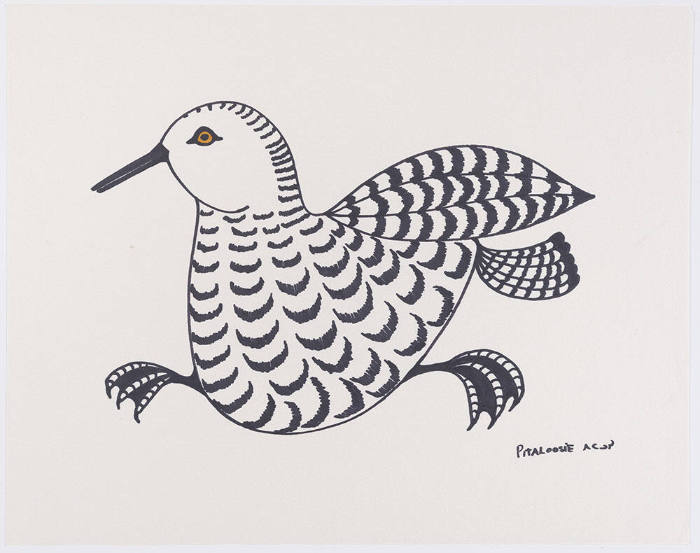 Untitled (Speckled bird)