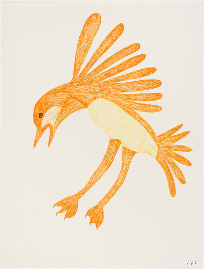 Orange-Yellow Bird