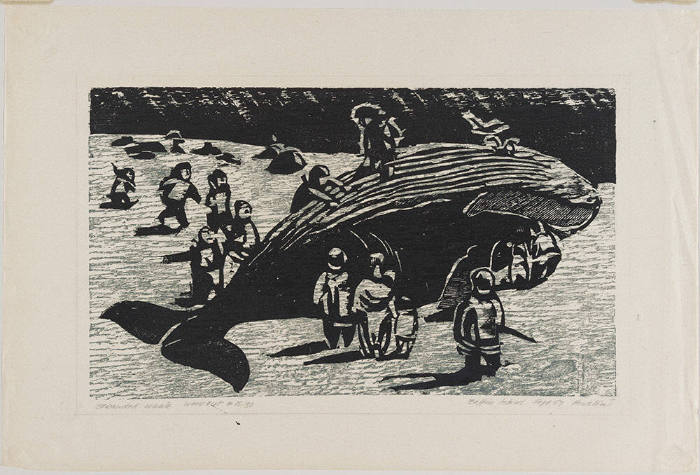 Stranded Whale