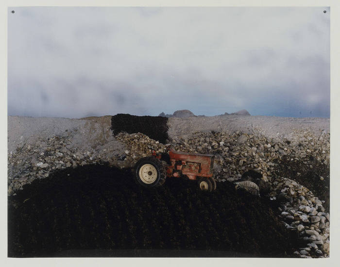 Untitled, from the series Mesa Cantos