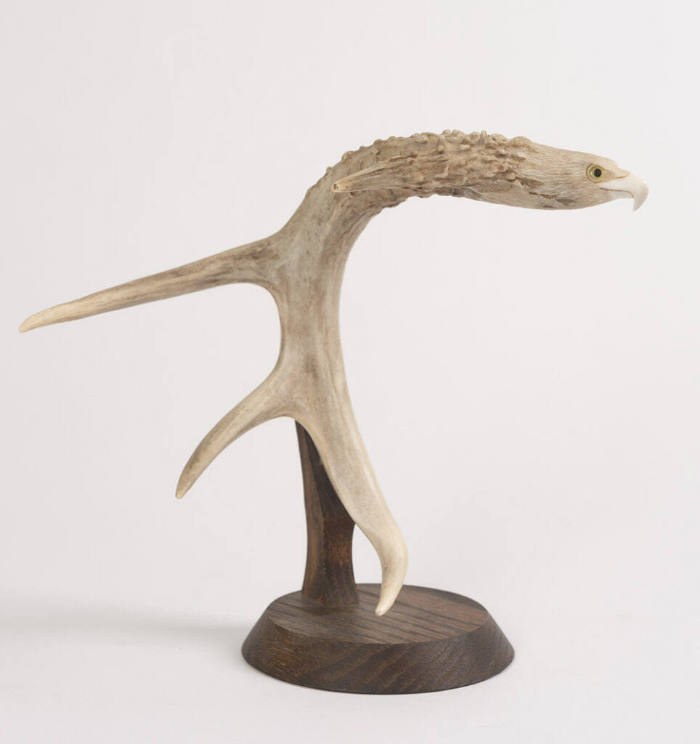 Eagle Head Antler