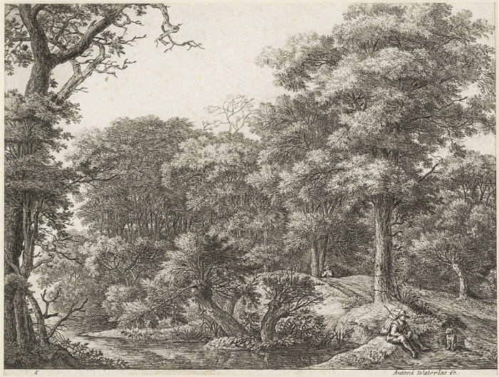 A Traveller Resting in the Forest