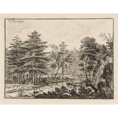 Wooded Landscape Beside a River