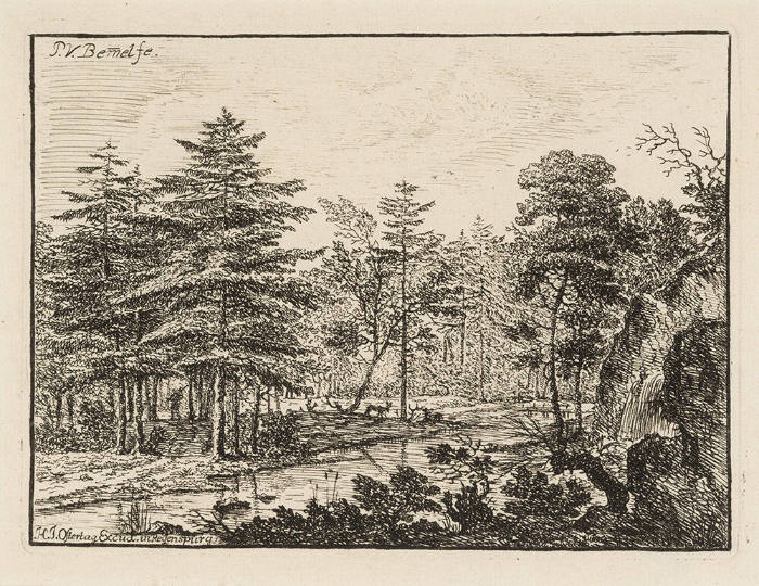 Wooded Landscape Beside a River