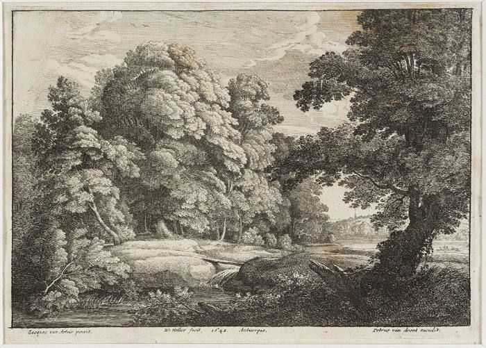 Landscape: Forest at Soignes