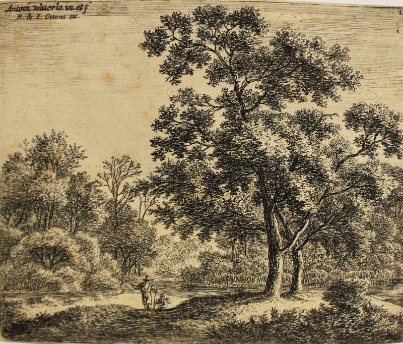 Two Travellers in a Wood