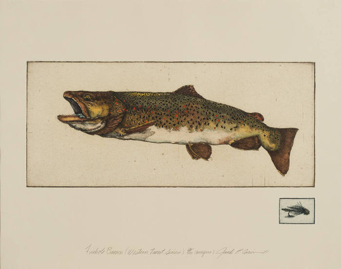 Firehole Brown (Western Trout Series)  60/100