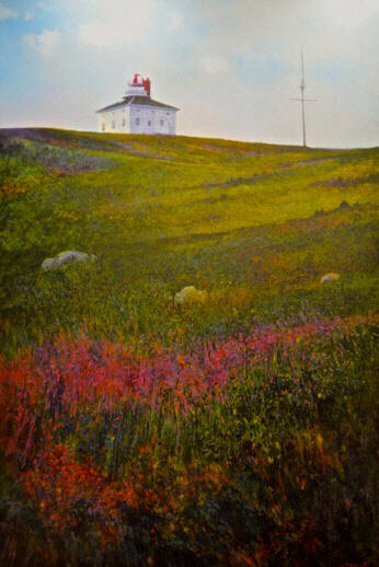 Looking Up (from the lupins), Cape Spear