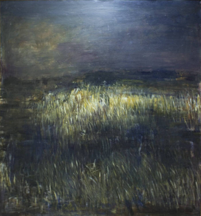 Night Field No. 6