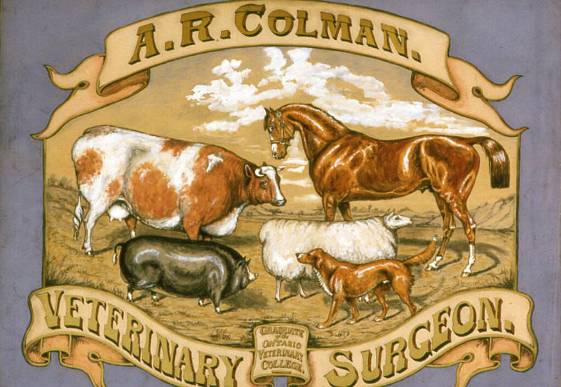 A. R. Colman Veterinary Surgeon