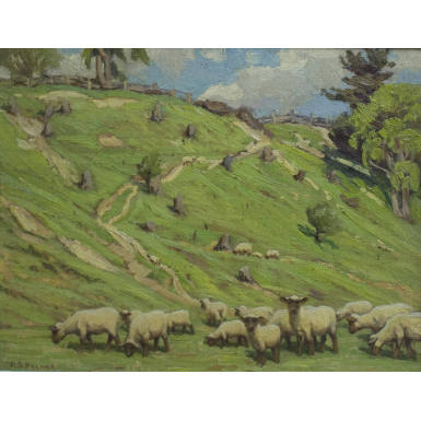 Hillside Pasture